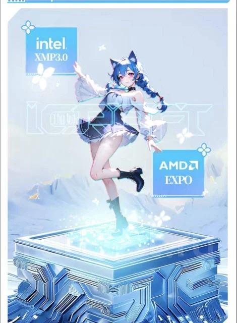 DDR5. ����