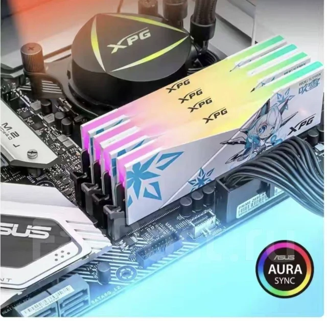 DDR5. ����