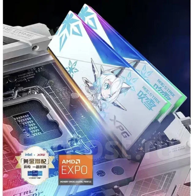 DDR5. ����