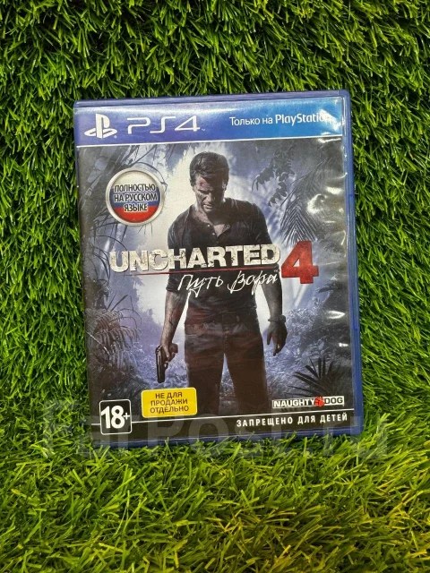 ����. ����