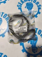 ������ ��� Yamaha F20A/25A/30A/40B 65W-46241-00-00 ����