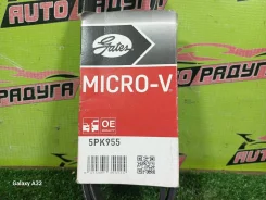 ������ ��������� F22A CC1, CB6 5PK955 5PK955 ����