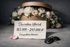 ��������-������-��������-����������. �� ������ �.� ����