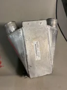 �����������. ����