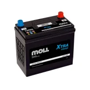 Moll. 50��.�., B24, 460��., ������, ������������ ������. ��� ����� �� ������������ ����
