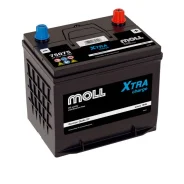 Moll. 75��.�., D26, 720��., ������, ������������ ������. ��� ����� �� ������������ ����
