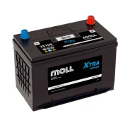 Moll. 100��.�., D31, 800��., ������, ������������ ������. ��� ����� �� ������������ ����
