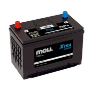Moll. 100��.�., D31, 800��., ��������, ������������ ������. ��� ����� �� ������������ ����
