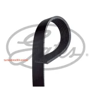 ������ ������������ XF Gates 7PK1750 7PK1750 ����