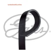 ������ ������������ Gates 7PK2150 7PK2150 ����