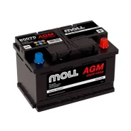 Moll. 70��.�., L3, 760��., ��������, ������������ ������. ��� ����� �� ������������ ����