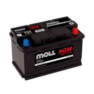 Moll. 80��.�., L4, 800��., ��������, ������������ ������. ��� ����� �� ������������ ����