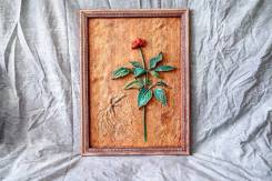 ����� (�������) ���������� �� ������ ����