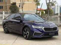 Skoda Octavia. �������, ��������, 1.4 (150��.�.), ������, 30����. ��, �/�. ��� ����� �� ������������ ����
