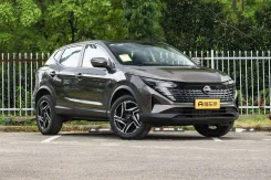 Nissan Qashqai. ��������, ��������, 2.0 (151��.�.), ������, 1����. ��, �/�. ��� ����� �� ������������ ����