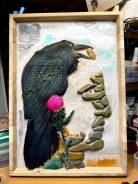 ������� ���������� �� ������ ����