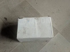 ������� ���� ���������� Tgacc002 TGACC002 ����