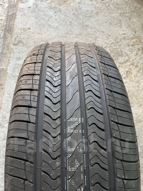 Nereus Dyntrac. ������, 2025 ���, ����� ����