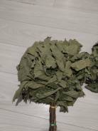 ����� ������� 2025 �� ������������ ����