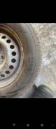 Viatti. ������, ��� �����, 2023 ���, �/�, ����� 5 % ����