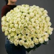 ����. ����