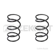 ������� �������� ������. (���������� 2 ��. /���� �� 1 ��. ) Nissan X-Trail (T30) 05- SF2399 ����