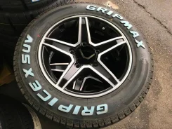 Lehrmeister Premix Estela