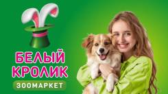 ������������� ��������. �� ��������� �.� ����