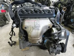 ��������� Honda Odyssey Avancier Accord F23A ����