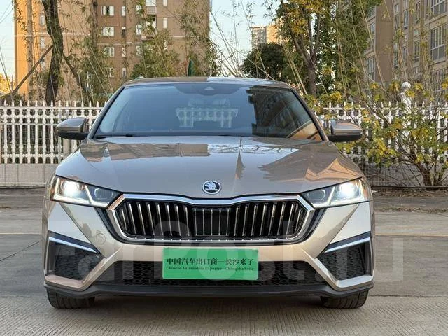 Skoda Octavia. �������, ��������, 1.4 (150��.�.), ������, 24 000����. ��, �/�. ��� ����� �� ������������ ����