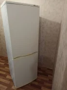 ������������. ����