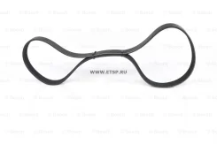 ������ ��������� 8PK1615 8PK1615 8PK1615 ����