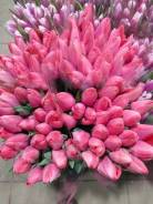 ��������. ����