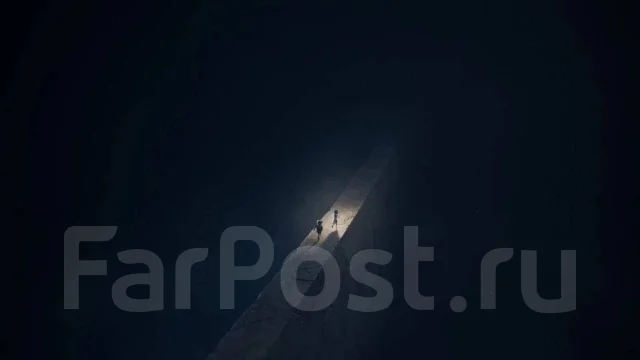 ����. ����
