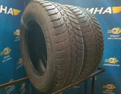 Bridgestone Ice Cruiser 5000