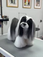 �������. ����