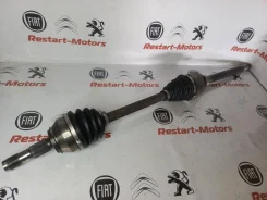������� Fiat Ducato 1369955080 244, �������� ������ 1369955080 ����
