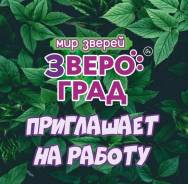 ����������. �� ������� ��������� ����������. ����� ����� ������ 47 ����