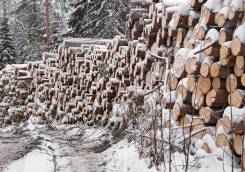 ������� ����, �������-�������� ��������. ��� "��� ��". �������� ������� �������� 5 ����