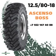 Ascenso Boss