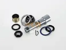 ������� ! �� ������� RVI Premium II TR/PR/ DXi 7/Kerax DXi 11/13/Magnum DXi 12/13 �/� CEI 230.096 230096 ����