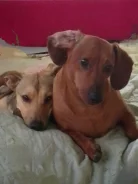 �����. ����