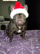 ����� �����. ����