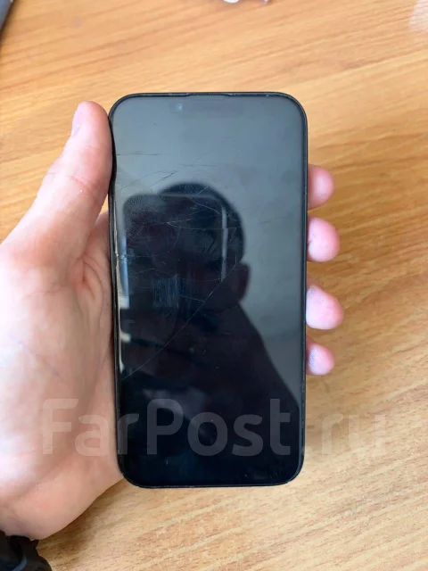 Apple iPhone 13. �/�, 256 ��, ������, 4G LTE ����