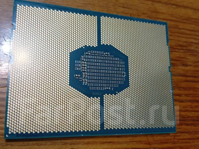 Intel Xeon Gold ����