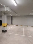 ����� �����������. ����