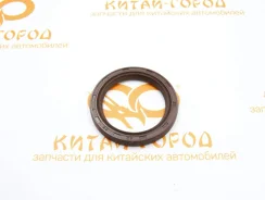 ������� ����������� Chery Amulet (42x56x7) Chery 480-1006020 4801006020 ����