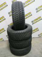 Bridgestone Blizzak DM-V2