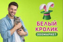 ��������-������. �� ��������� �.�. �������� ��������� 140 ����