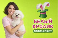 ��������-������. �� ��������� �.�. �������� 100-����� ������������ 32� ����